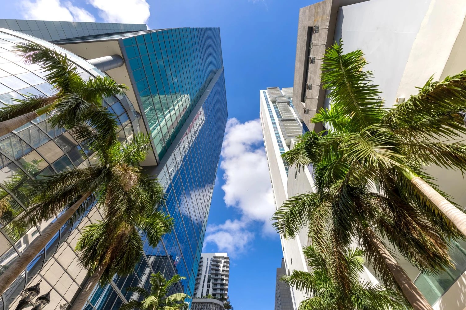 Florida LLC: The Ultimate 2025 Guide to Starting Your Business in the U.S.