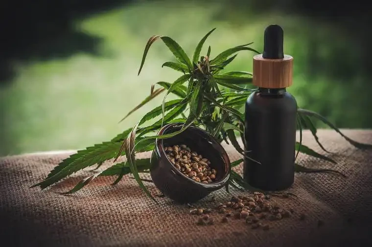 Hemp, an investment opportunity in the United States