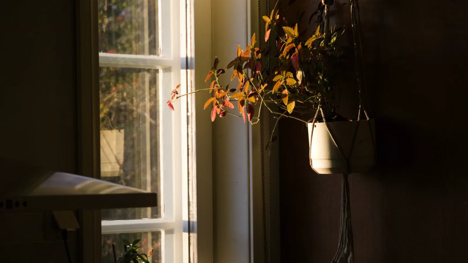 What Is Actually Due on October 15 If You Filed an Extension?