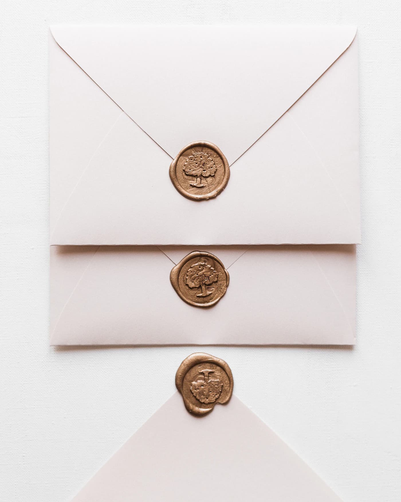 A sealed envelope holding notarized documents, ready to ship.