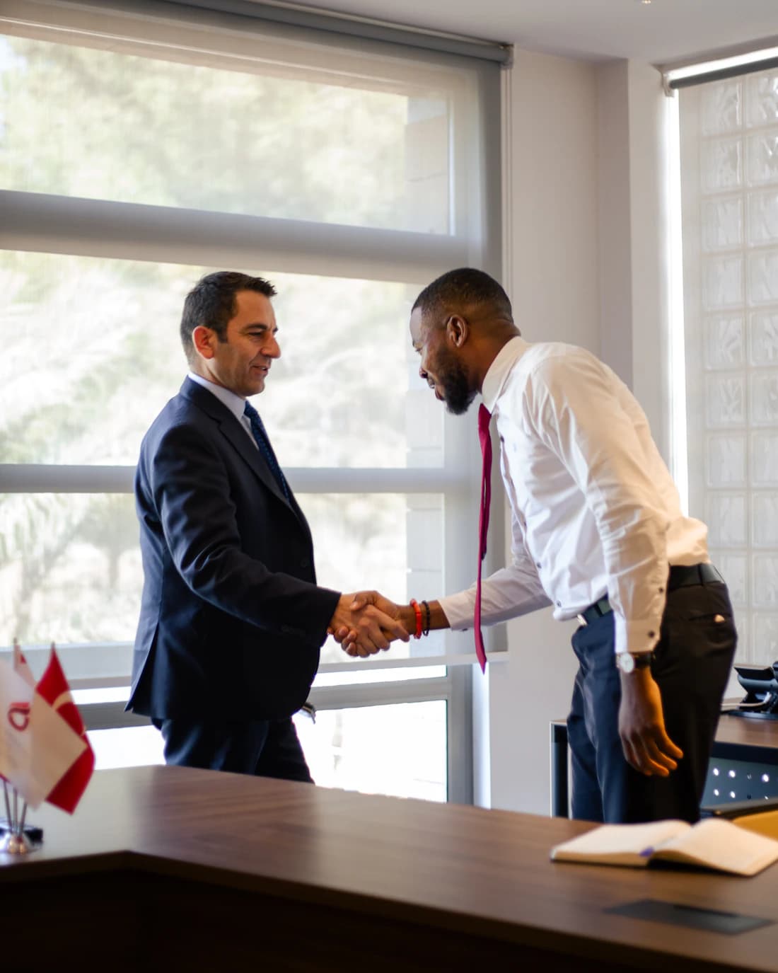Two partners shaking hands, the members an operating agreement binds.