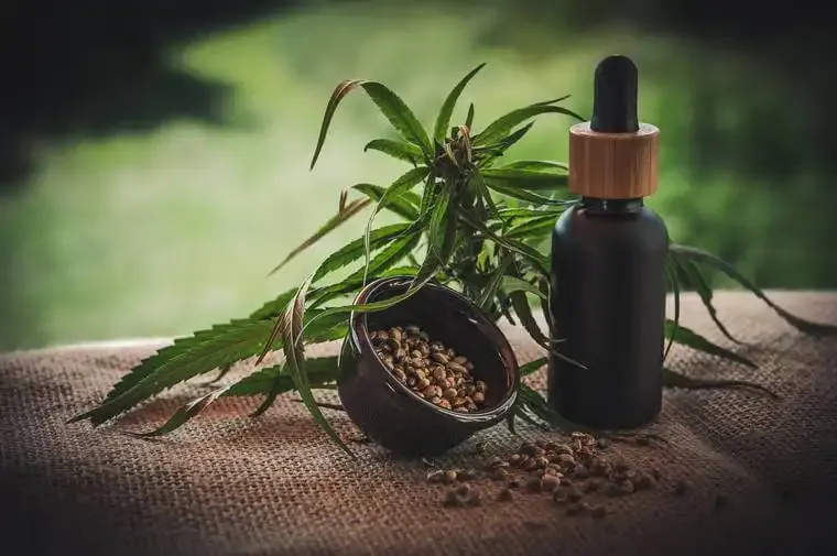 Hemp, an investment opportunity in the United States