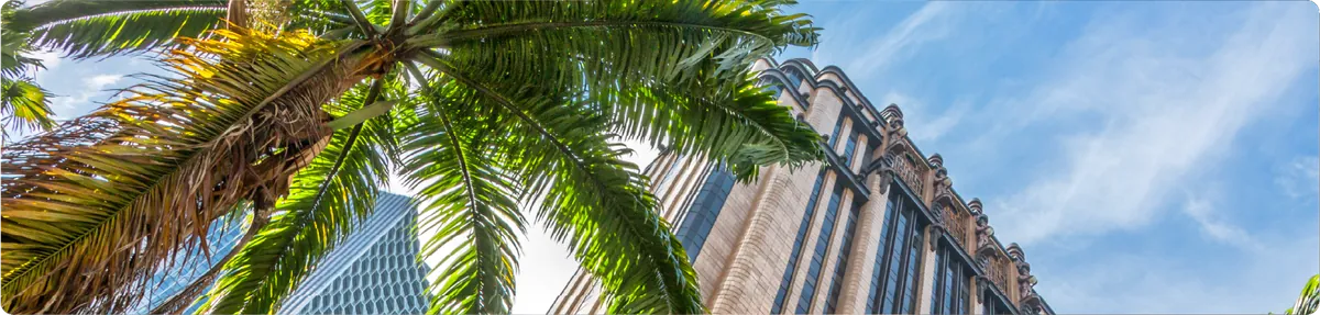 Florida LLC: The Ultimate 2025 Guide to Starting Your Business in the U.S.